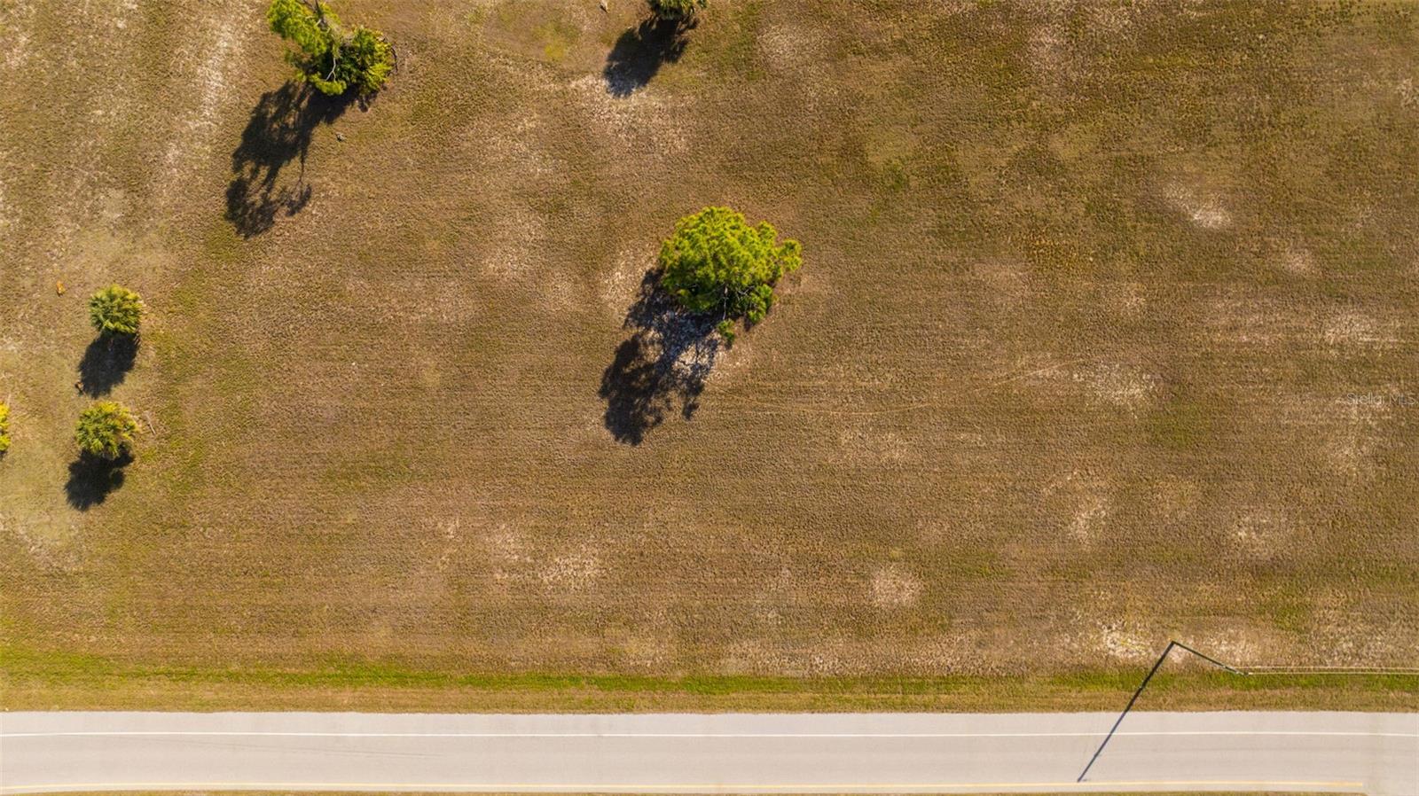 99 HARNESS RD, PLACIDA, FL — photo 8