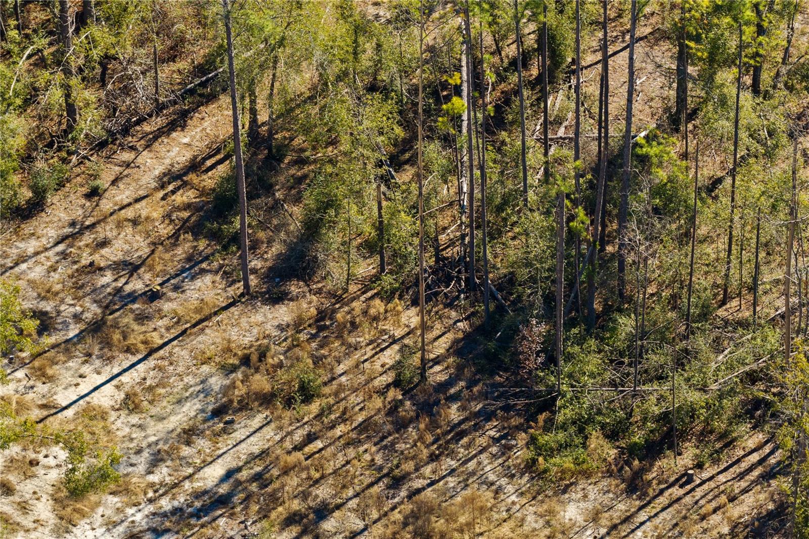 12TH TER, LIVE OAK, FL — photo 30