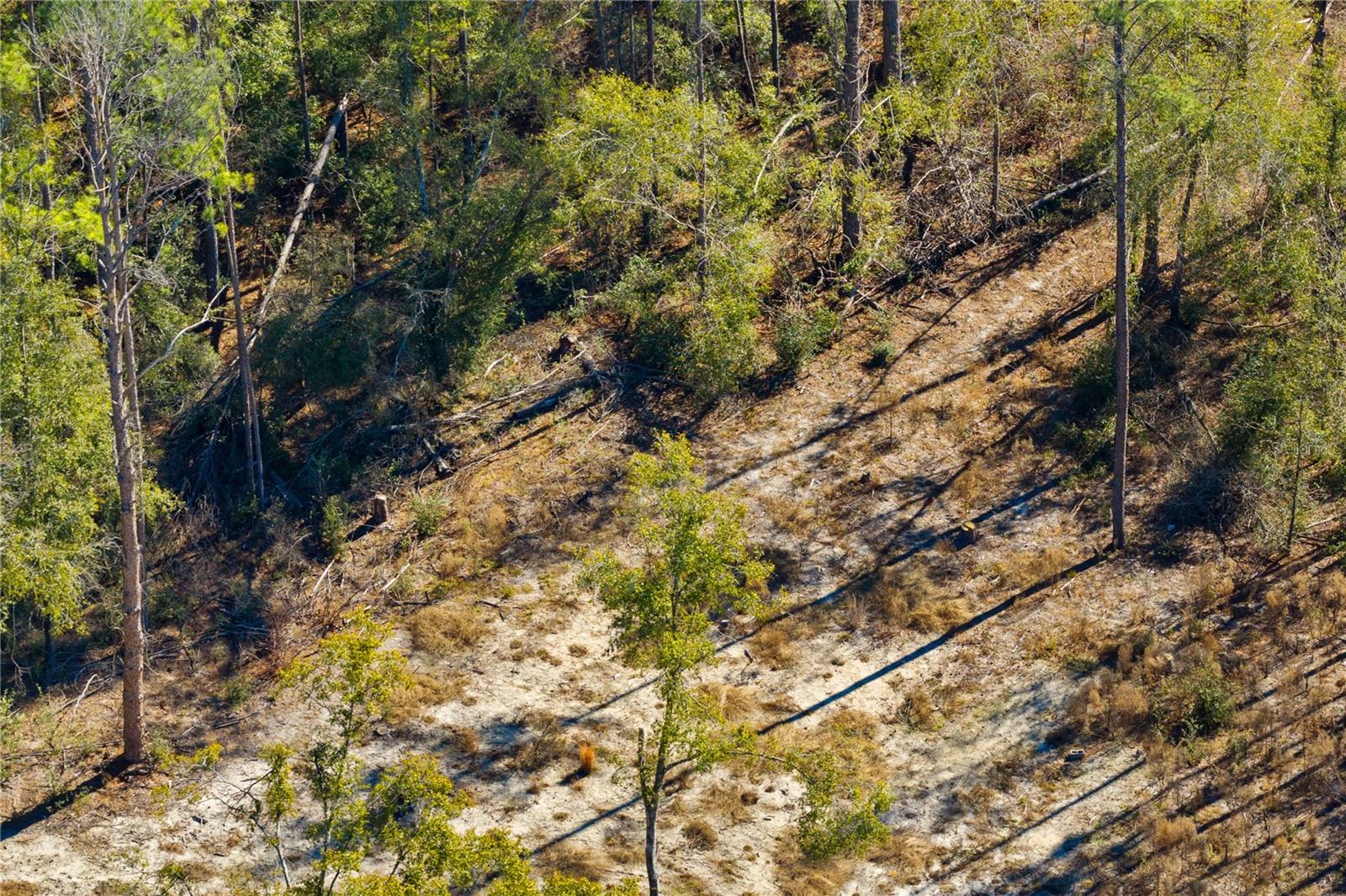 12TH TER, LIVE OAK, FL — photo 32