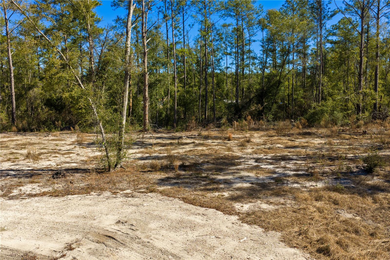 12TH TER, LIVE OAK, FL — photo 58