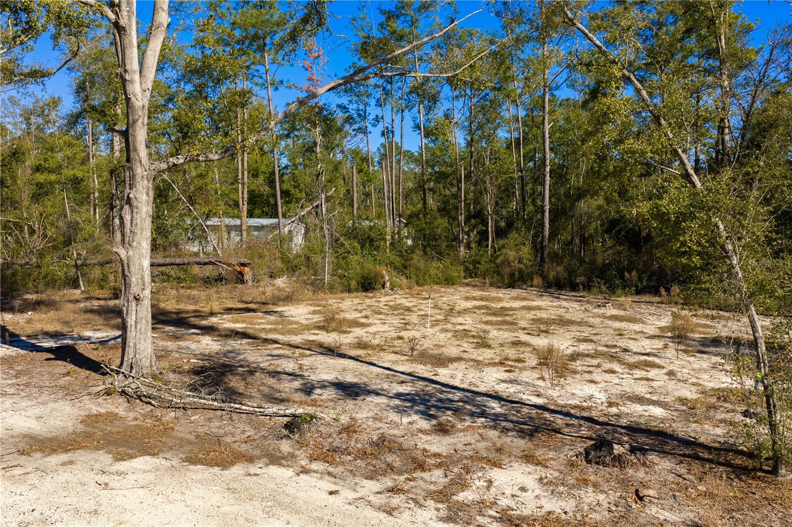 12TH TER, LIVE OAK, FL — photo 59