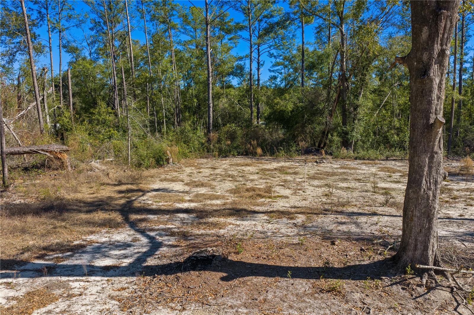 12TH TER, LIVE OAK, FL — photo 62