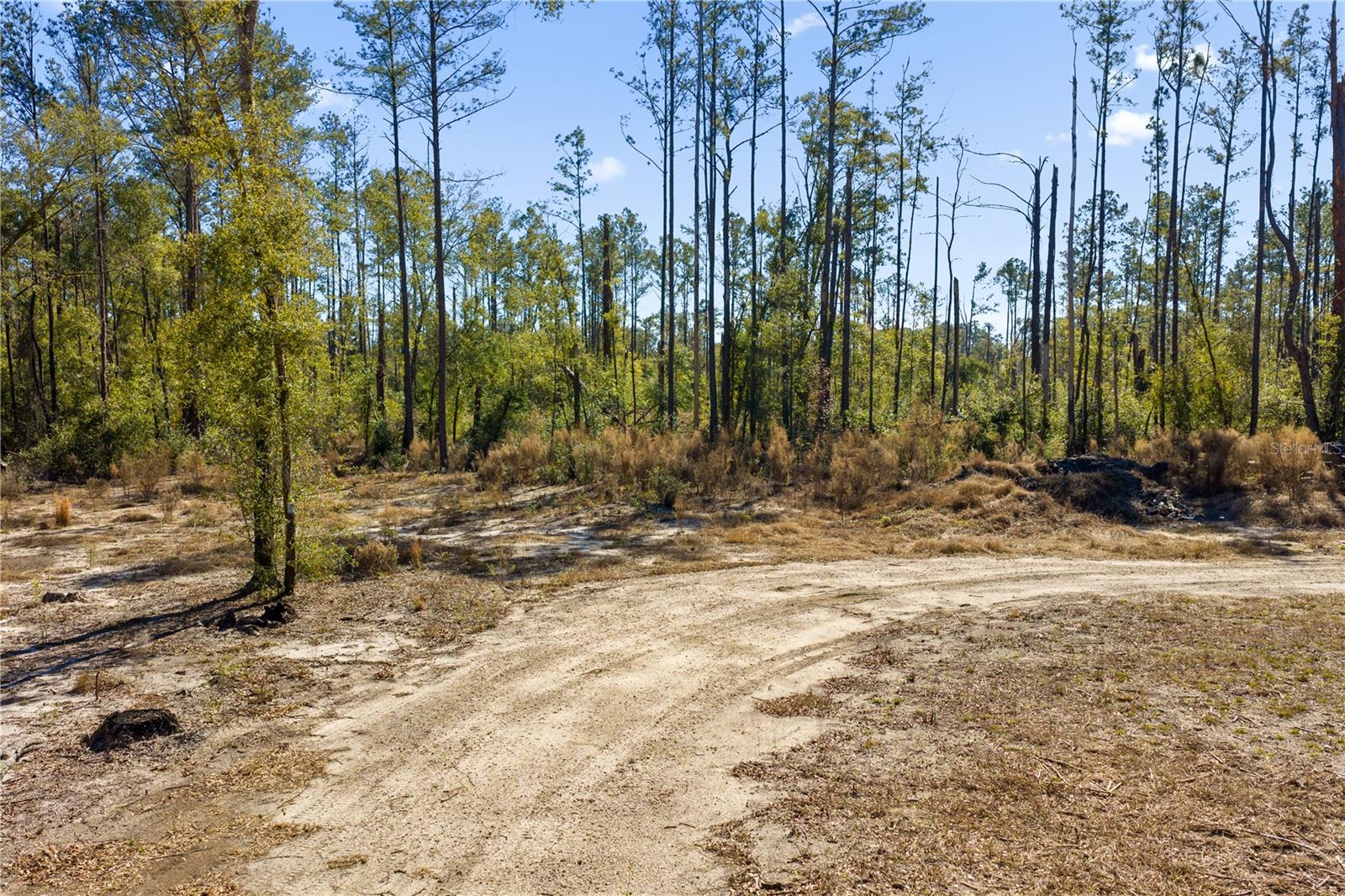 12TH TER, LIVE OAK, FL — photo 63