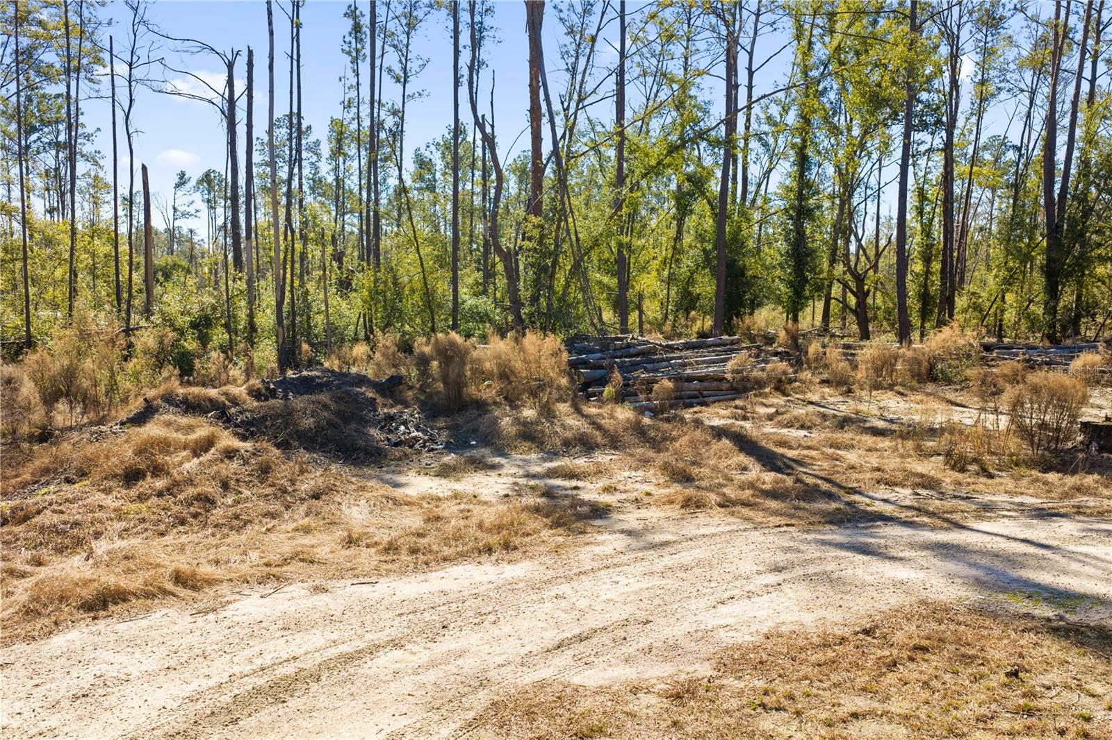 12TH TER, LIVE OAK, FL — photo 65
