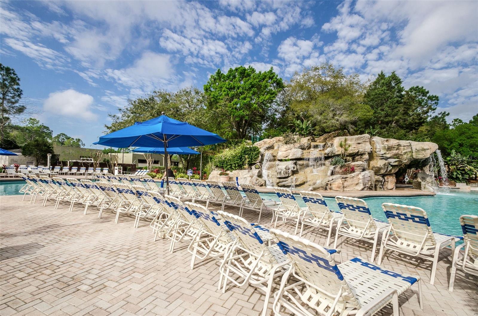 36750 US HIGHWAY 19 N #5-104, PALM HARBOR, FL — photo 42