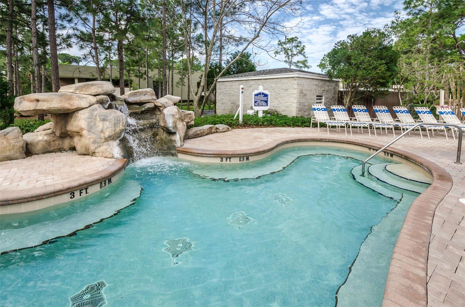 36750 US HIGHWAY 19 N #5-104, PALM HARBOR, FL — photo 48