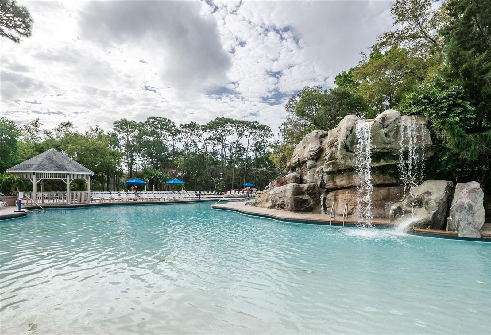 36750 US HIGHWAY 19 N #5-104, PALM HARBOR, FL — photo 49