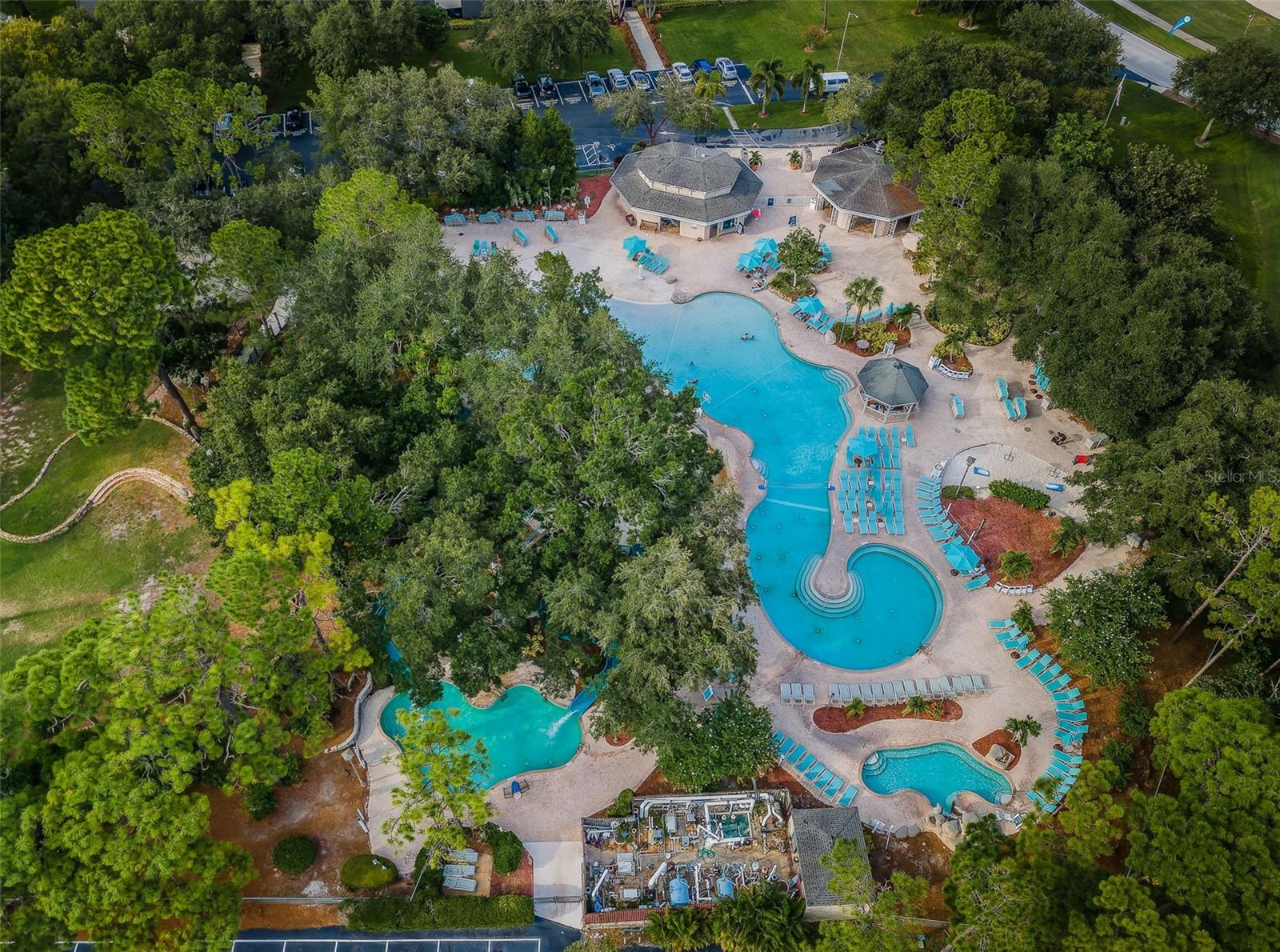 36750 US HIGHWAY 19 N #5-104, PALM HARBOR, FL — photo 56