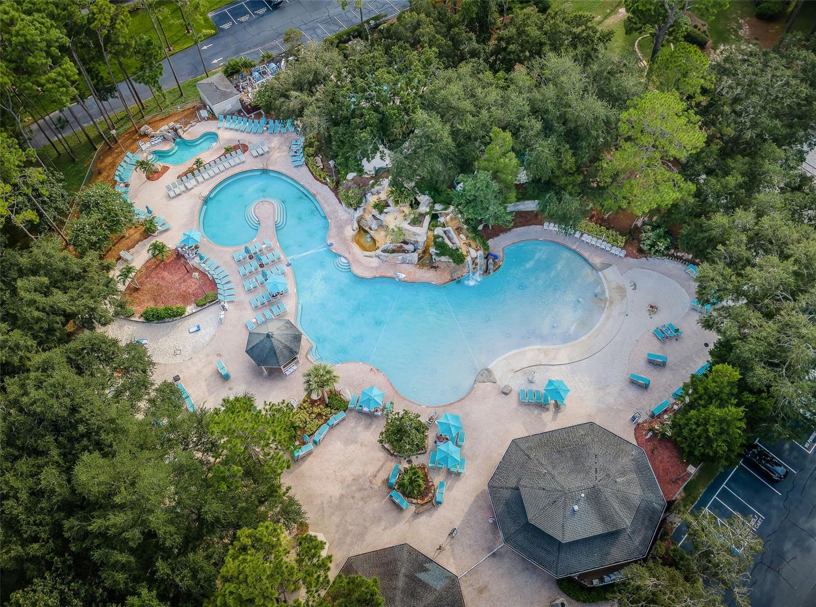 36750 US HIGHWAY 19 N #5-104, PALM HARBOR, FL — photo 57