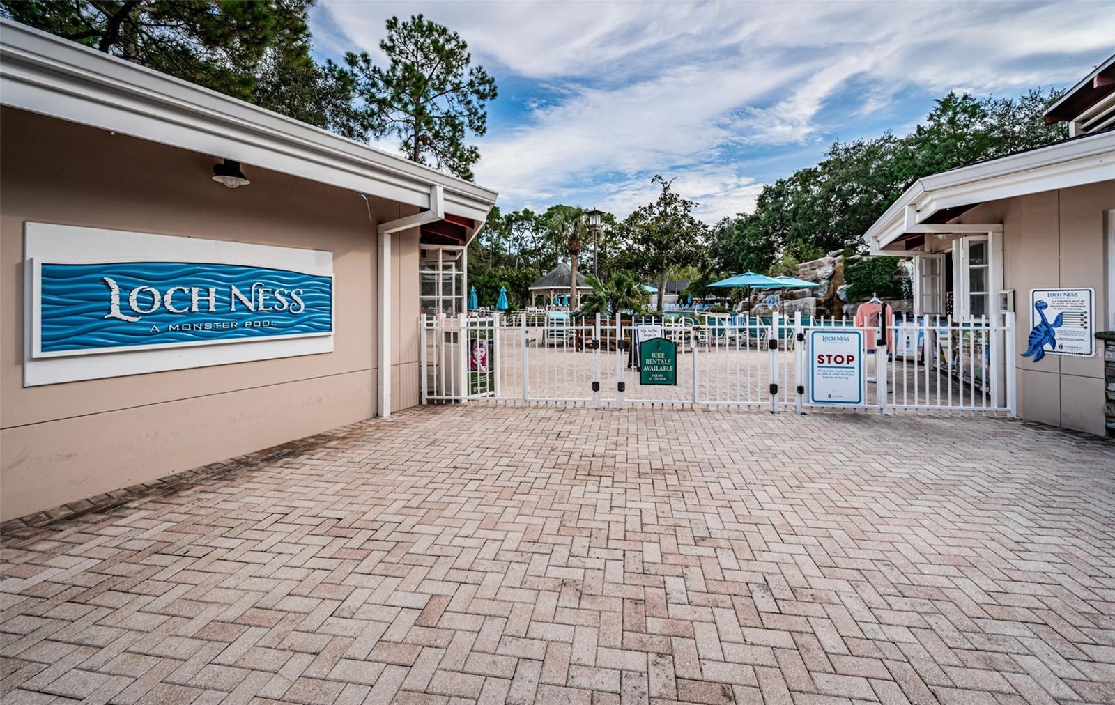 36750 US HIGHWAY 19 N #5-104, PALM HARBOR, FL — photo 59
