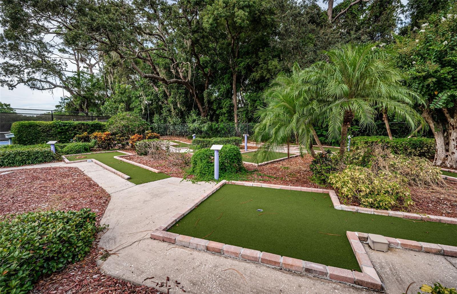 36750 US HIGHWAY 19 N #5-104, PALM HARBOR, FL — photo 78