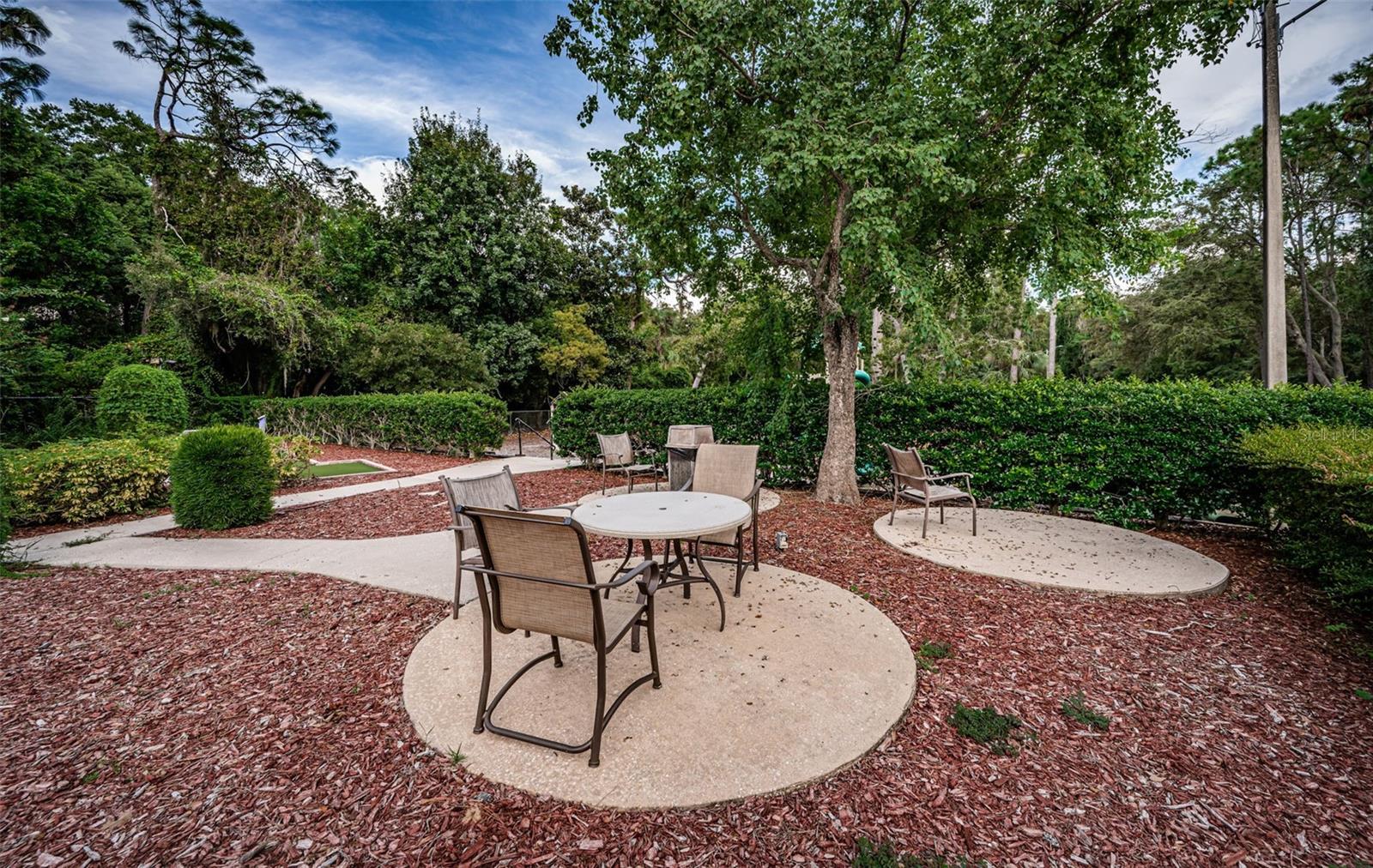 36750 US HIGHWAY 19 N #5-104, PALM HARBOR, FL — photo 80