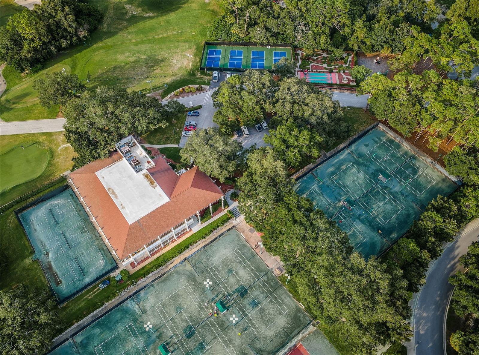 36750 US HIGHWAY 19 N #5-104, PALM HARBOR, FL — photo 86