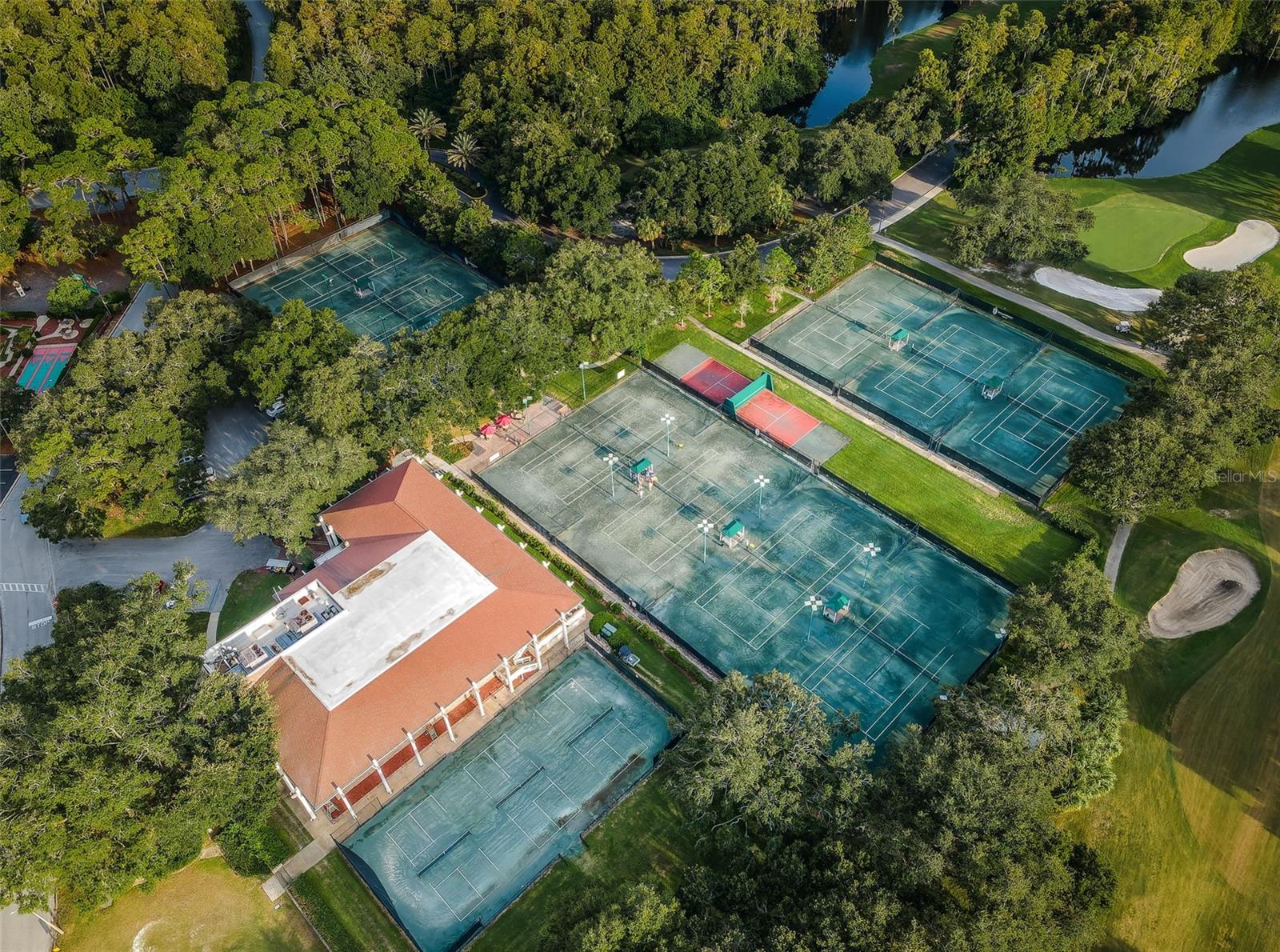 36750 US HIGHWAY 19 N #5-104, PALM HARBOR, FL — photo 89