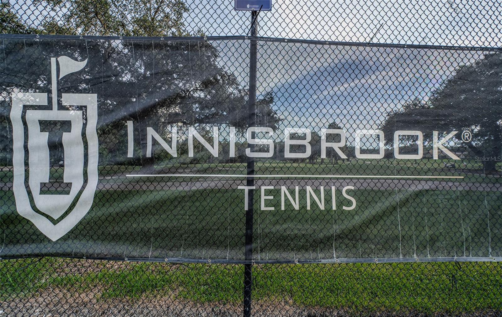 36750 US HIGHWAY 19 N #5-104, PALM HARBOR, FL — photo 91