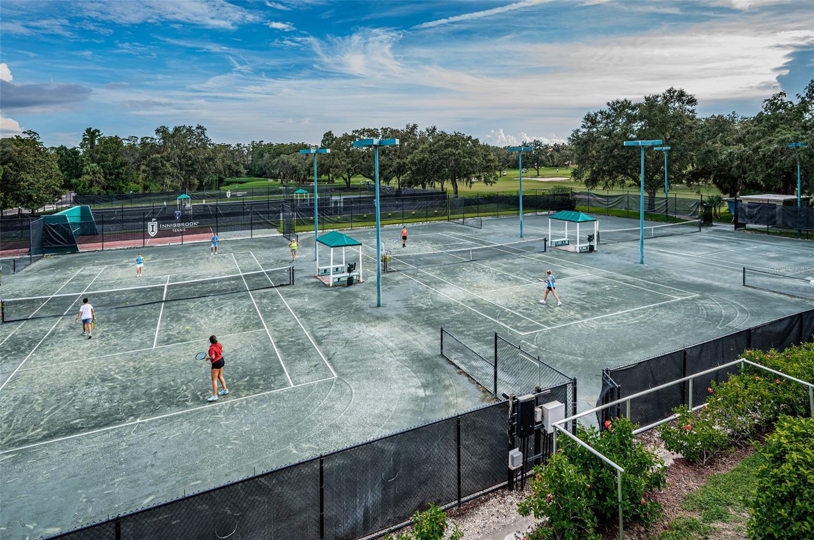 36750 US HIGHWAY 19 N #5-104, PALM HARBOR, FL — photo 96