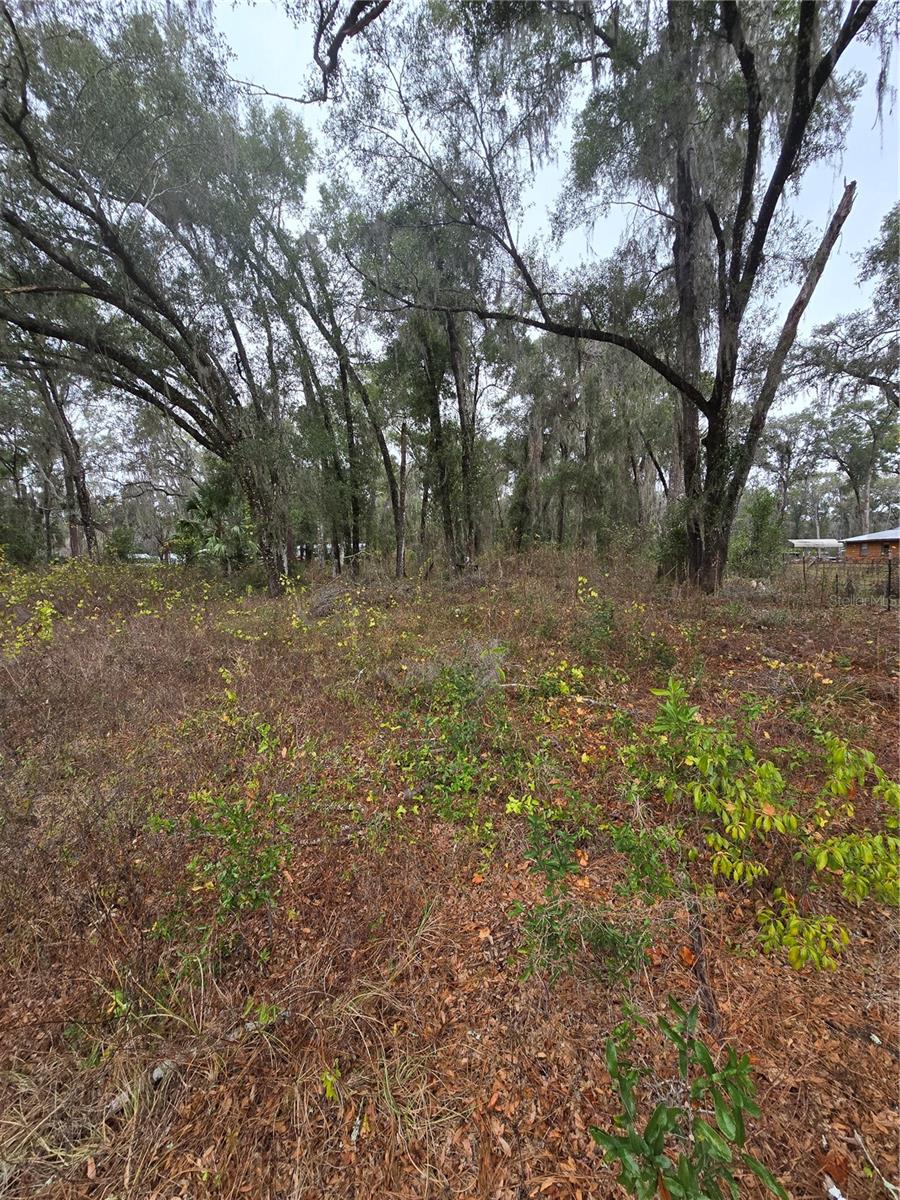 00 W C 476, BUSHNELL, FL — photo 2