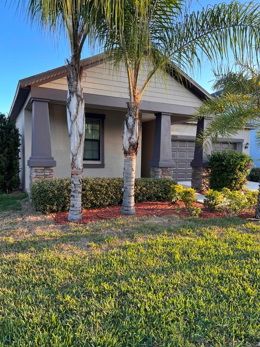 10616 GREAT CORMORANT DR, RIVERVIEW, FL — photo 2