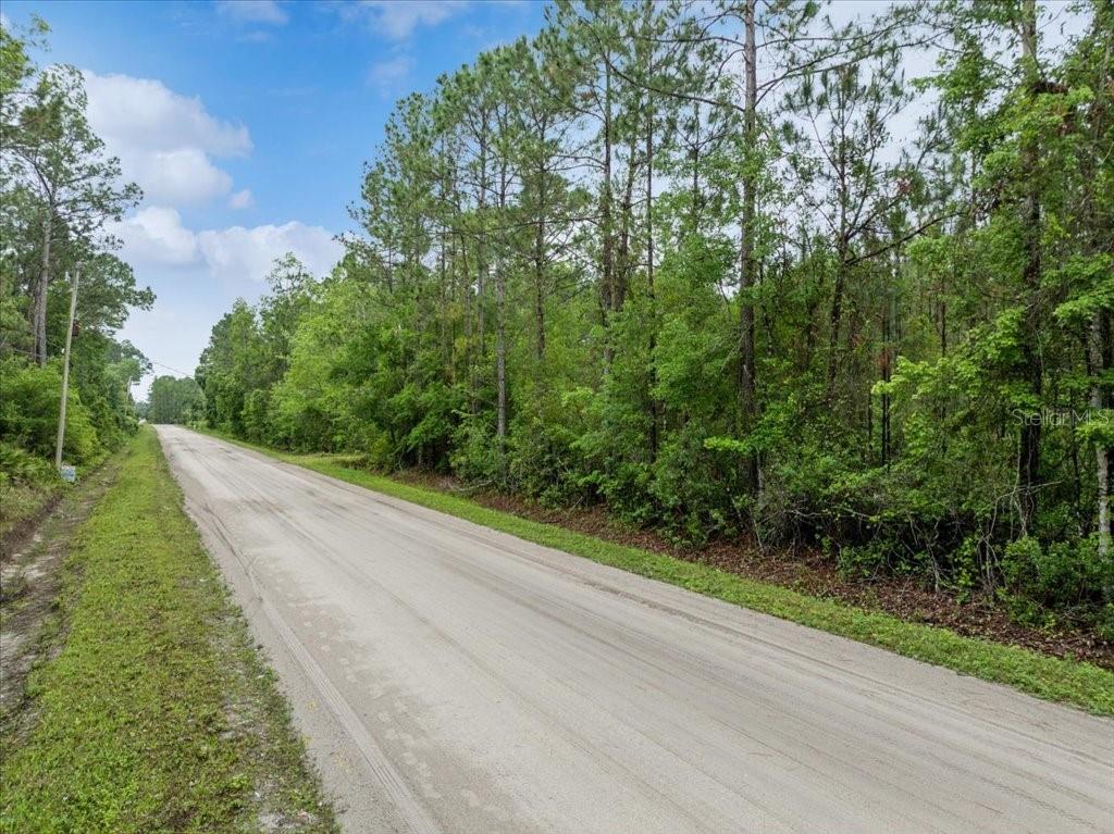 1756 HAZELNUT ST, BUNNELL, FL — photo 2