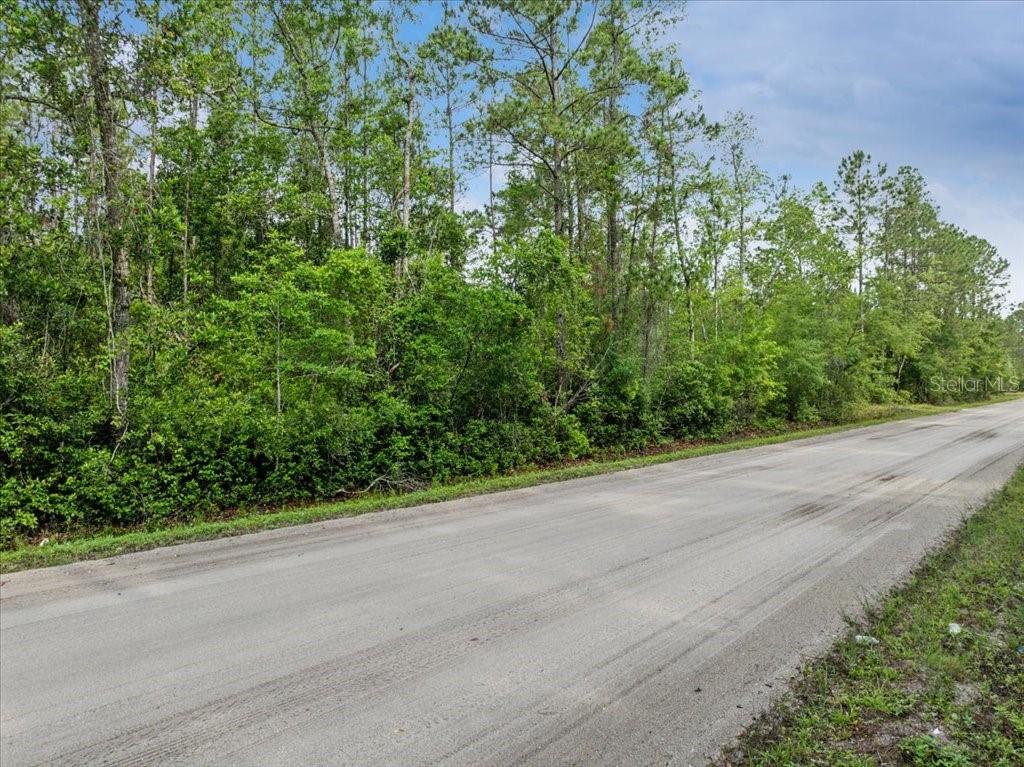 1756 HAZELNUT ST, BUNNELL, FL — photo 8