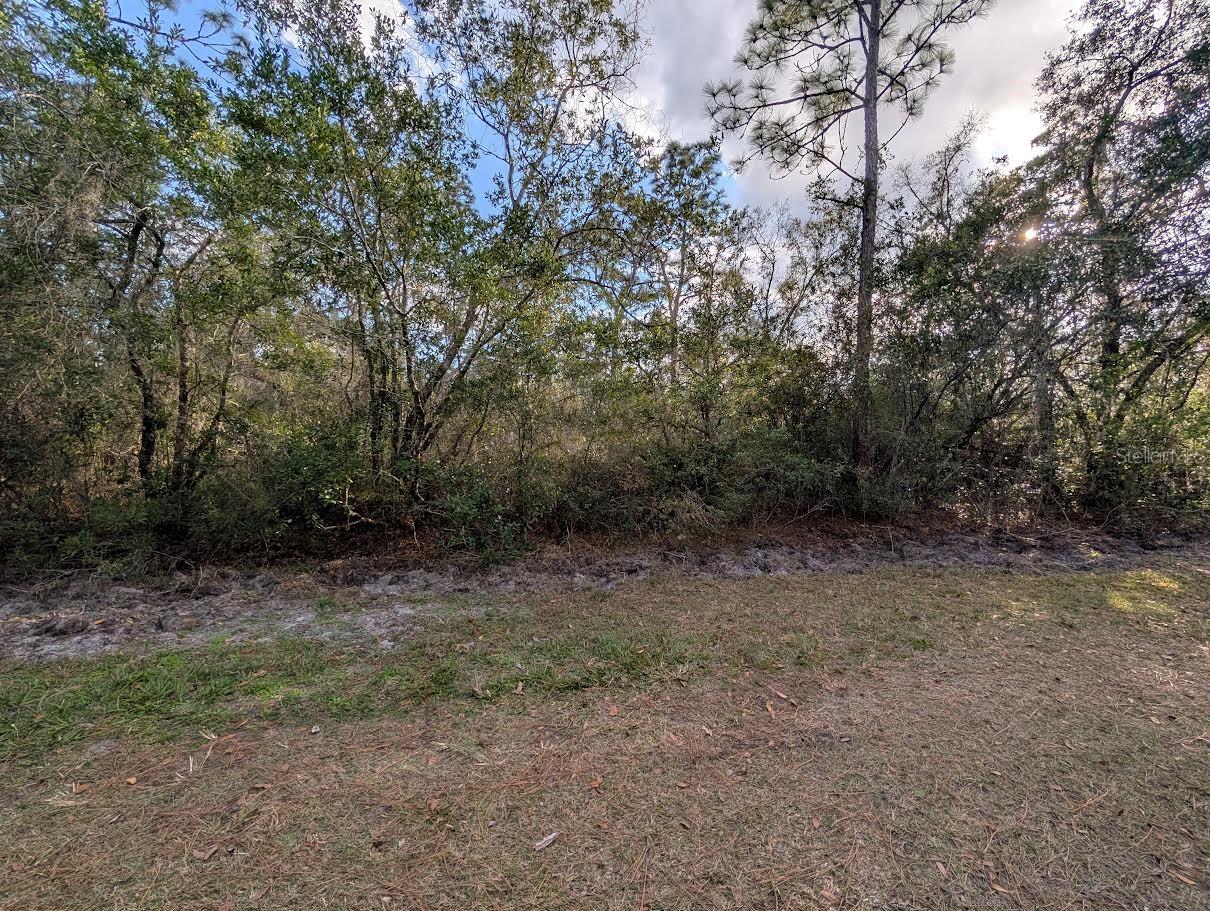 1005 BOUGAINVILLE DR, INDIAN LAKE ESTATES, FL — photo 4