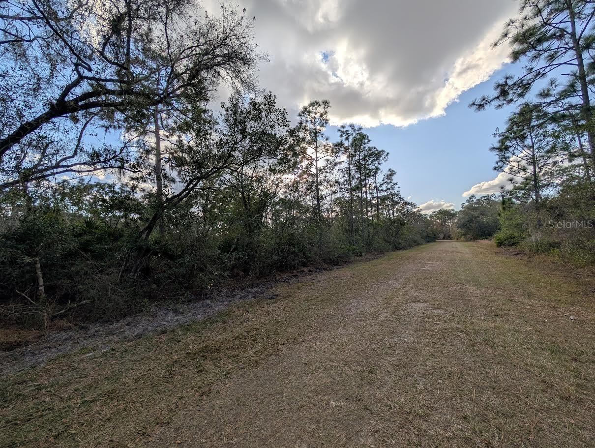 1005 BOUGAINVILLE DR, INDIAN LAKE ESTATES, FL — photo 5