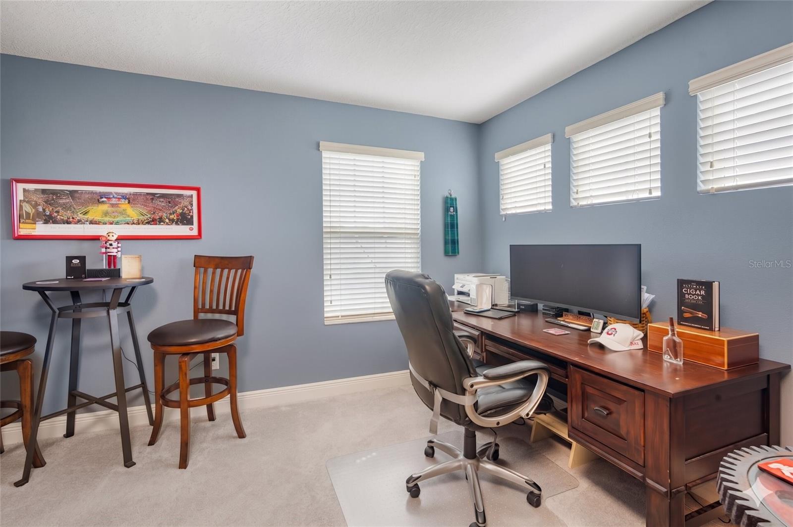 6502 MAIDEN SEA DR, APOLLO BEACH, FL — photo 23