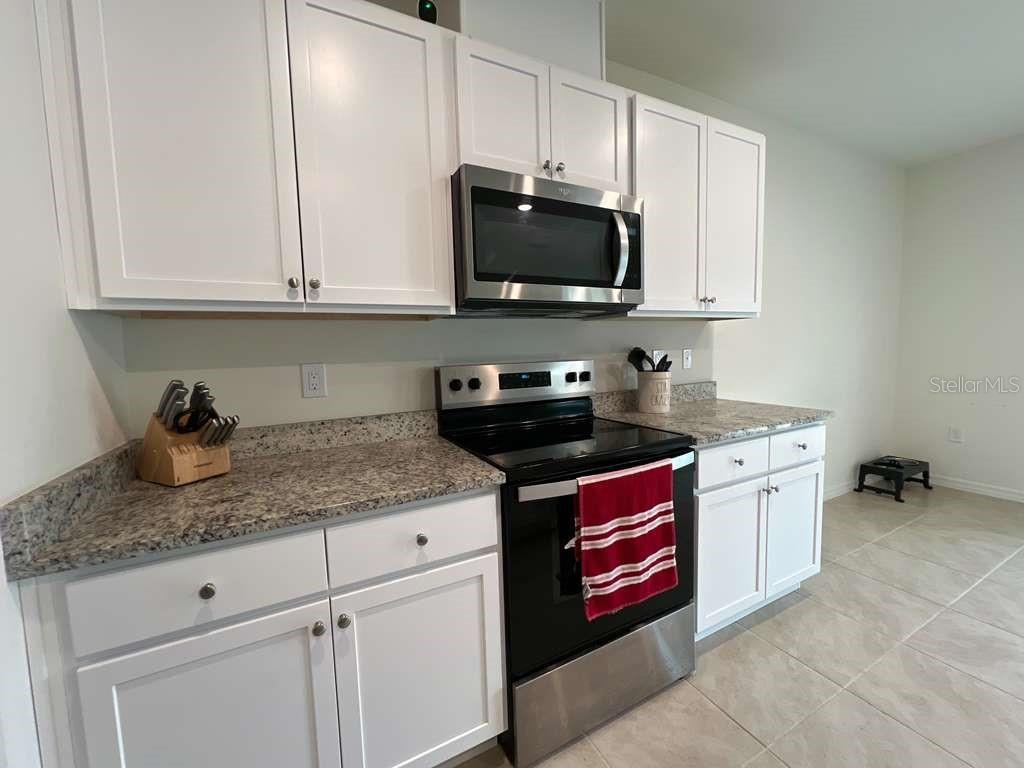 2131 DOE RUN DR, DAVENPORT, FL — photo 10