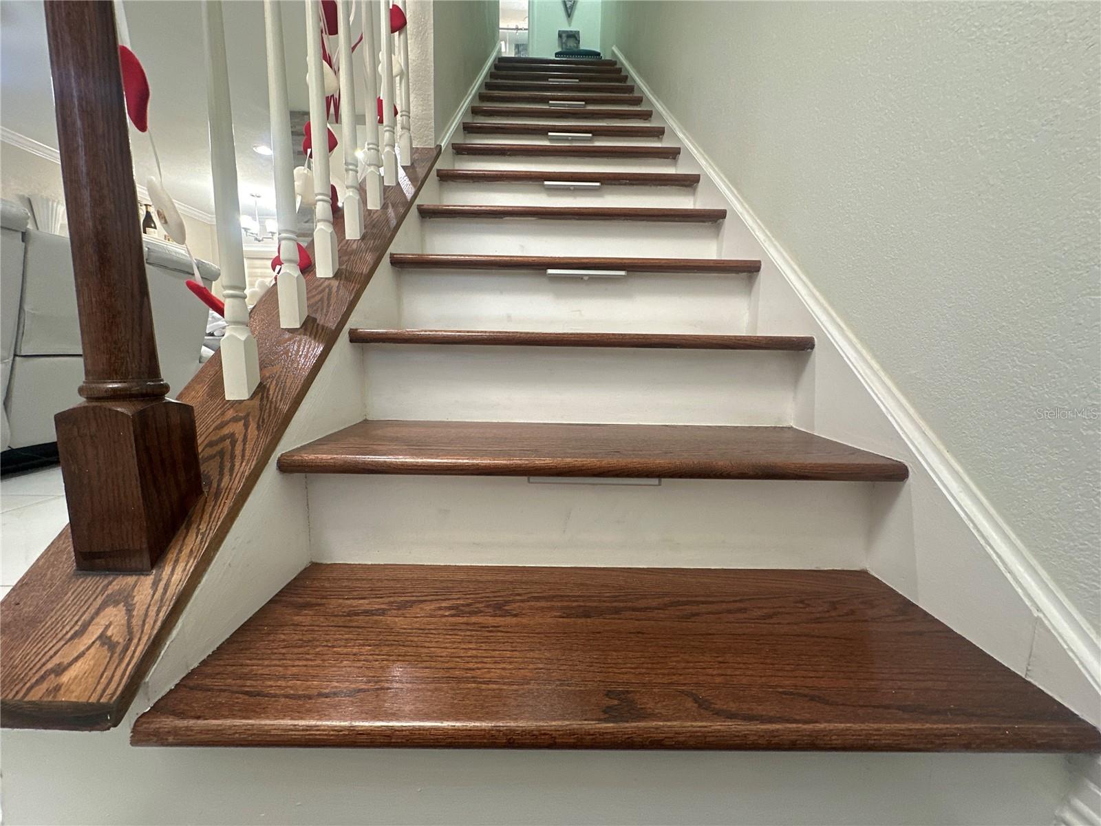 7009 SALINAS CT, TAMPA, FL — photo 15