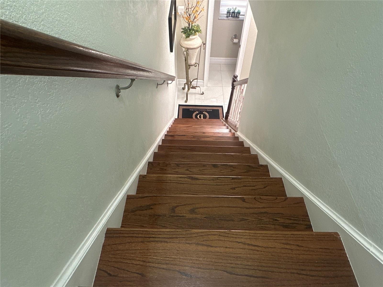7009 SALINAS CT, TAMPA, FL — photo 16