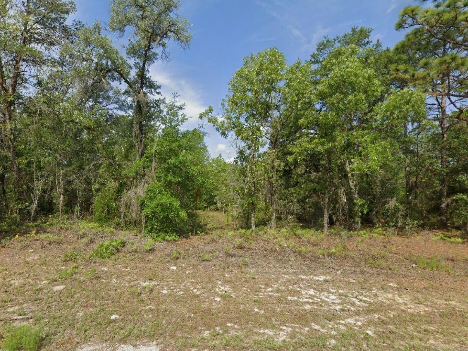 6502 N MATHESON DR, CITRUS SPRINGS, FL — photo 2