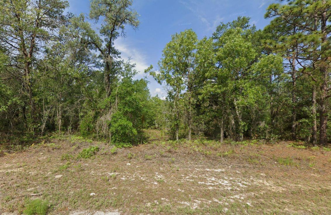 6502 N MATHESON DR, CITRUS SPRINGS, FL