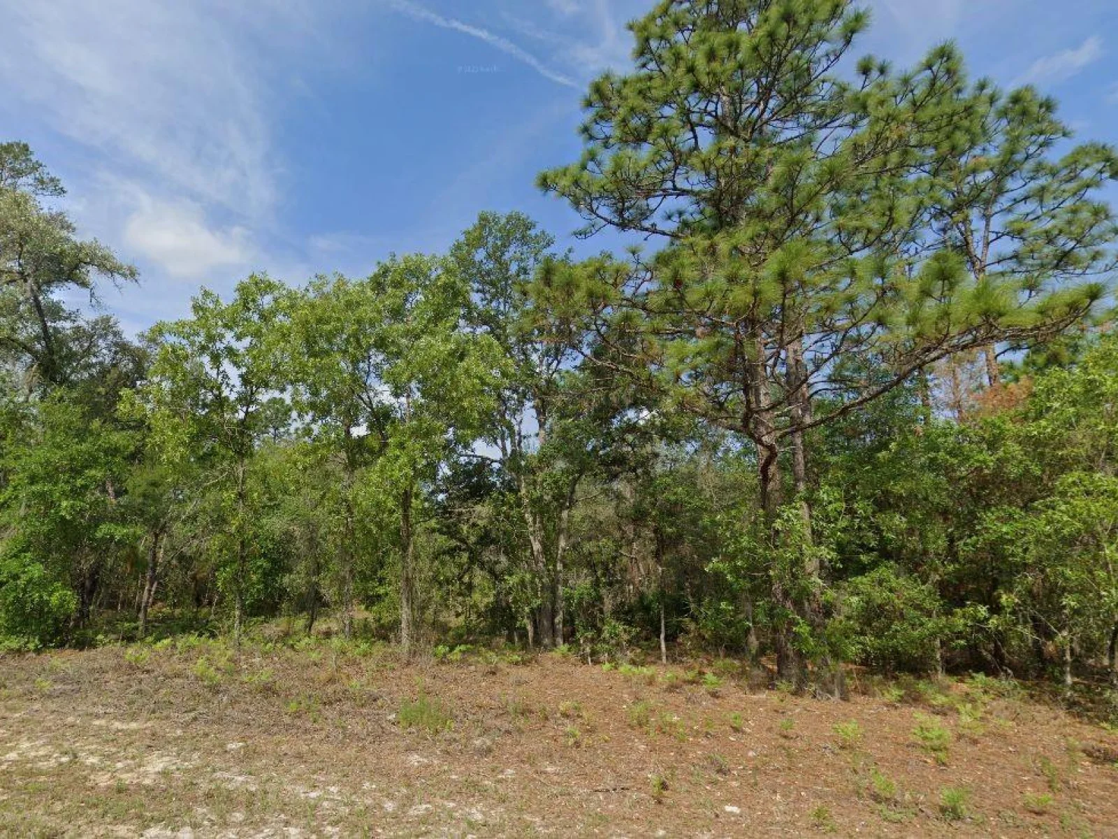 6502 N MATHESON DR, CITRUS SPRINGS, FL — photo 4