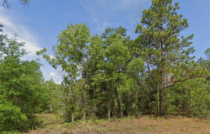 6502 N MATHESON DR, CITRUS SPRINGS, FL — photo 5