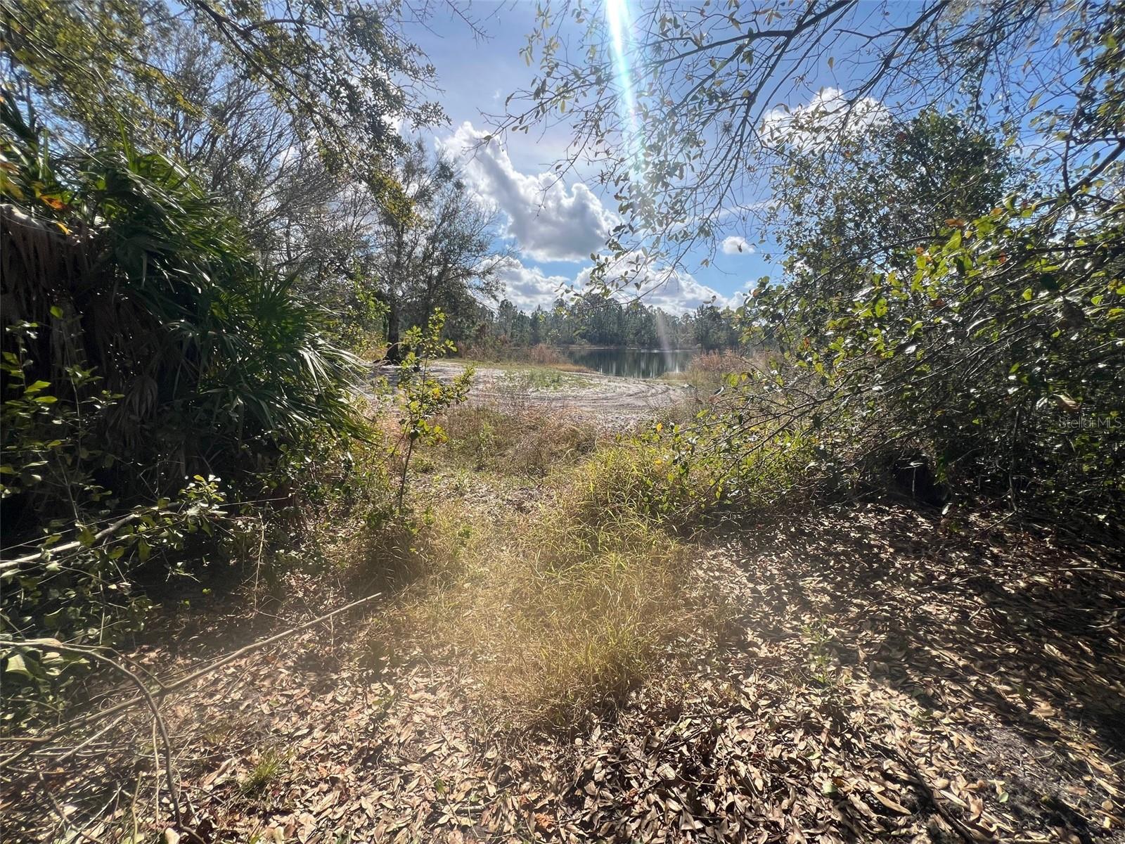 SILVER PALM DR, INDIAN LAKE ESTATES, FL — photo 19
