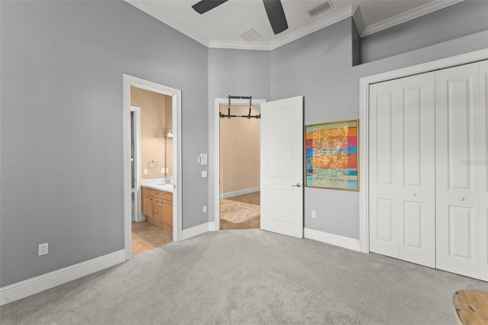 3013 SEIGNEURY DR, WINDERMERE, FL — photo 41