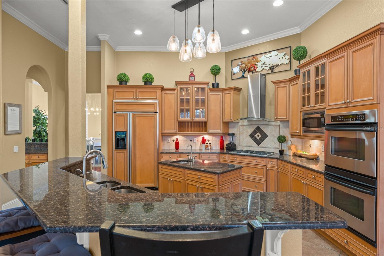 3013 SEIGNEURY DR, WINDERMERE, FL — photo 48