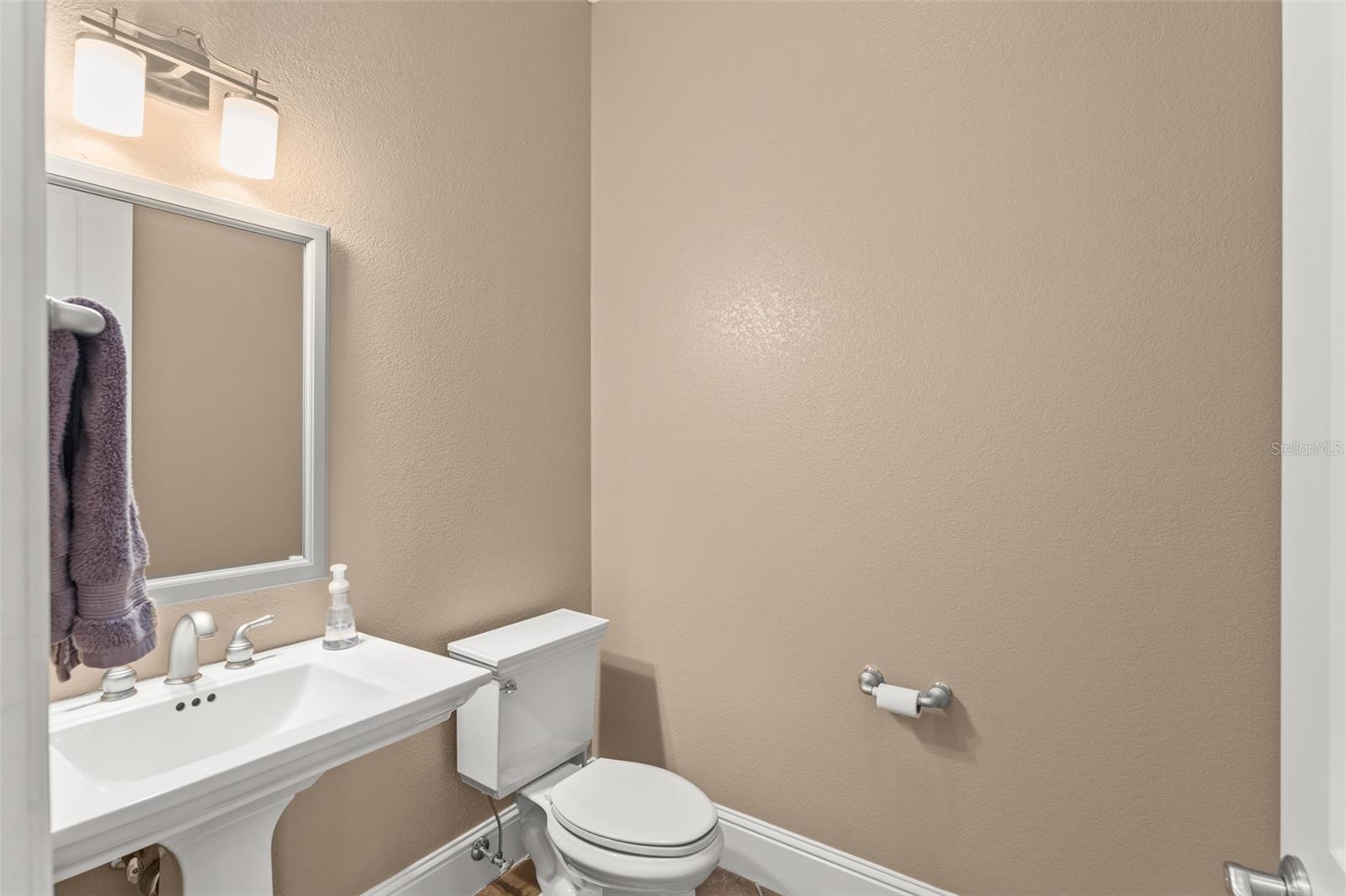3013 SEIGNEURY DR, WINDERMERE, FL — photo 51