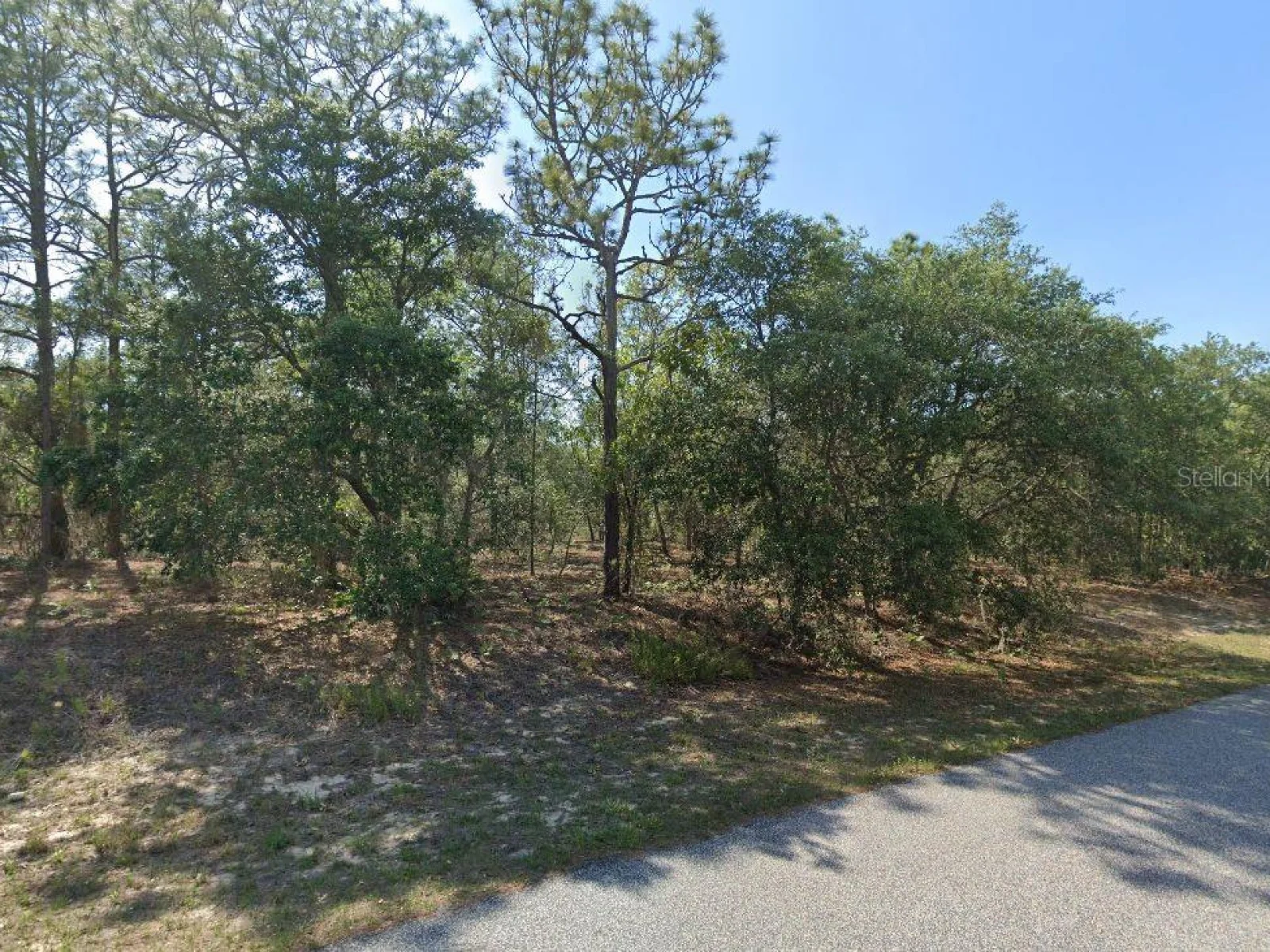6004 N DARLINGTON DR, CITRUS SPRINGS, FL — photo 4