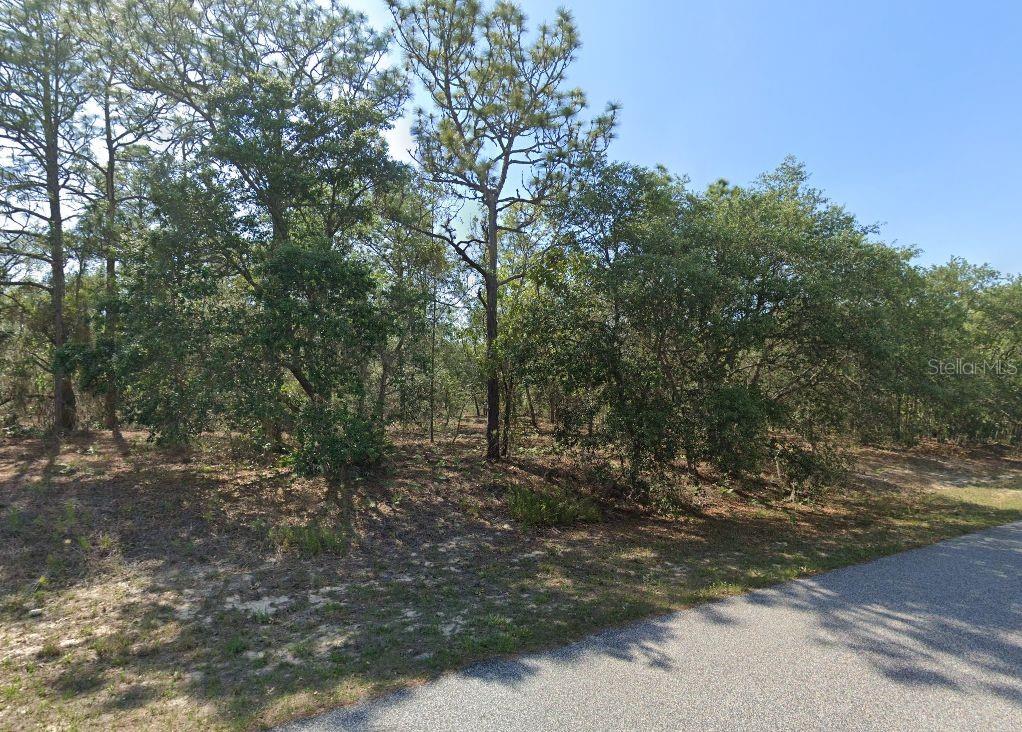 6004 N DARLINGTON DR, CITRUS SPRINGS, FL — photo 3