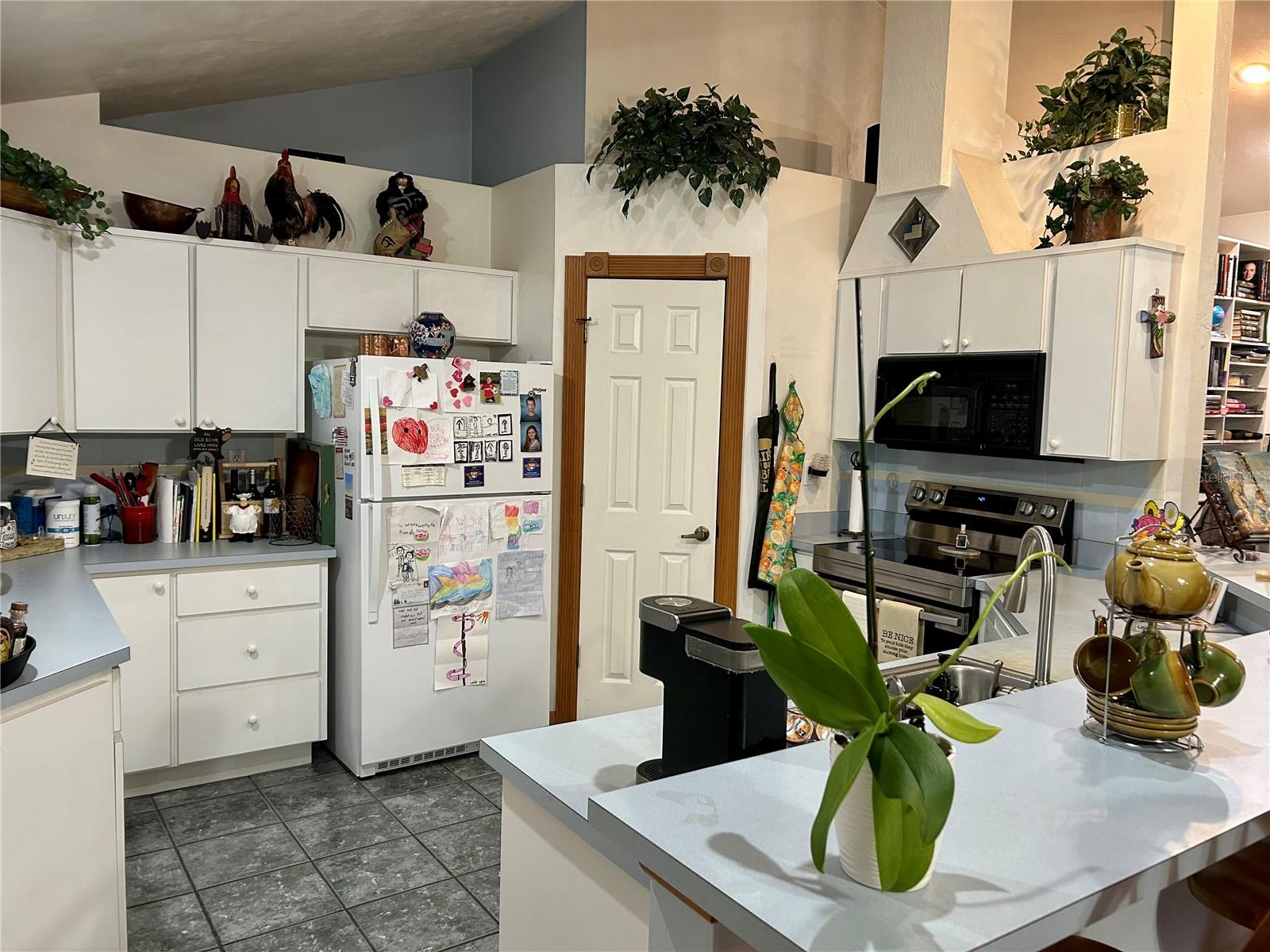 55730 HOLIDAY  CIRCLE, ASTOR, FL — photo 34