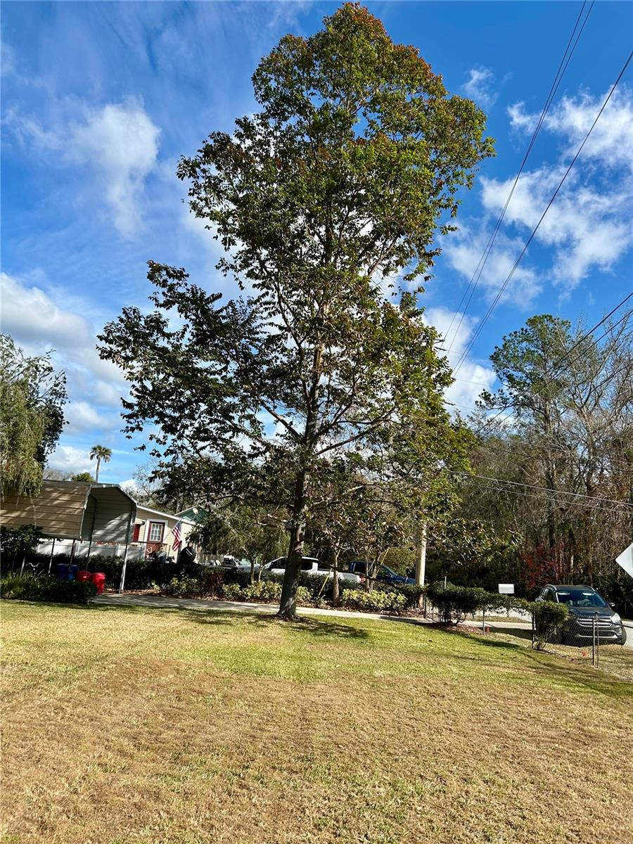 55730 HOLIDAY  CIRCLE, ASTOR, FL — photo 93