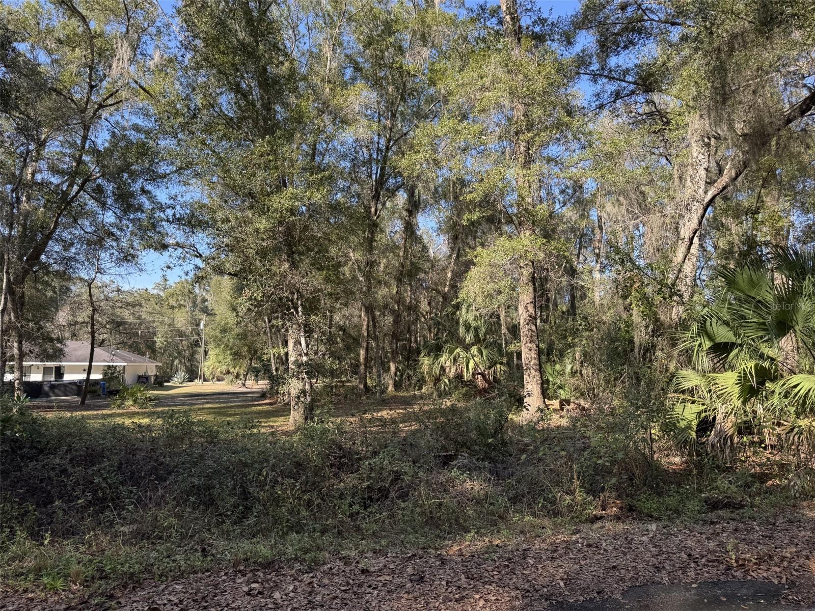 SEQUOIA LOOP TRAK, OCKLAWAHA, FL