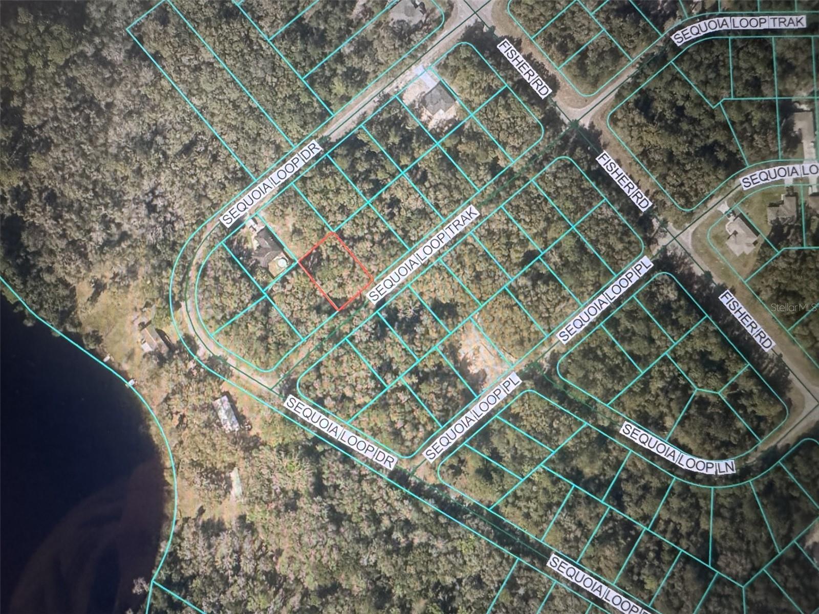 SEQUOIA LOOP TRAK, OCKLAWAHA, FL — photo 2