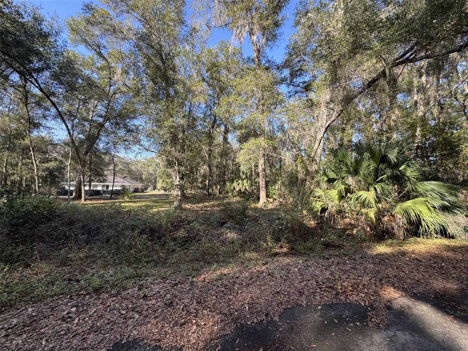 SEQUOIA LOOP TRAK, OCKLAWAHA, FL — photo 4