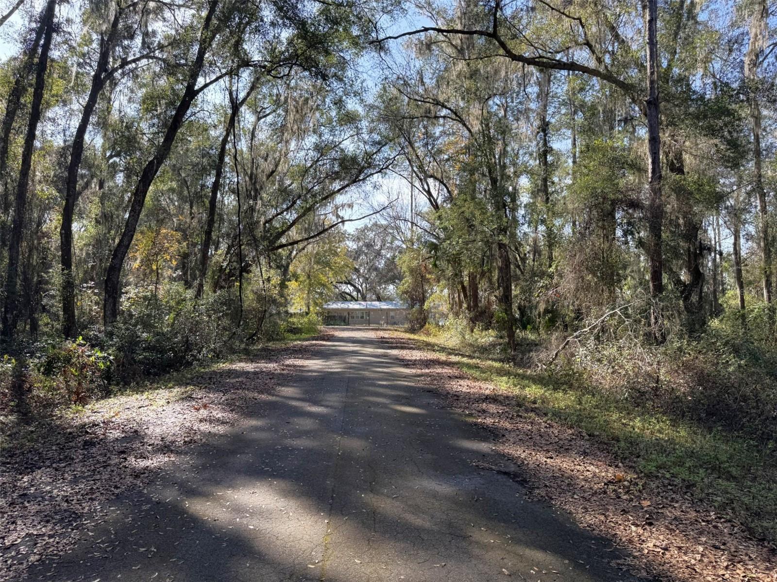 SEQUOIA LOOP TRAK, OCKLAWAHA, FL — photo 5