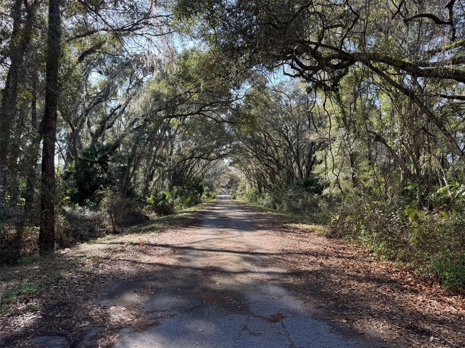 SEQUOIA LOOP TRAK, OCKLAWAHA, FL — photo 6