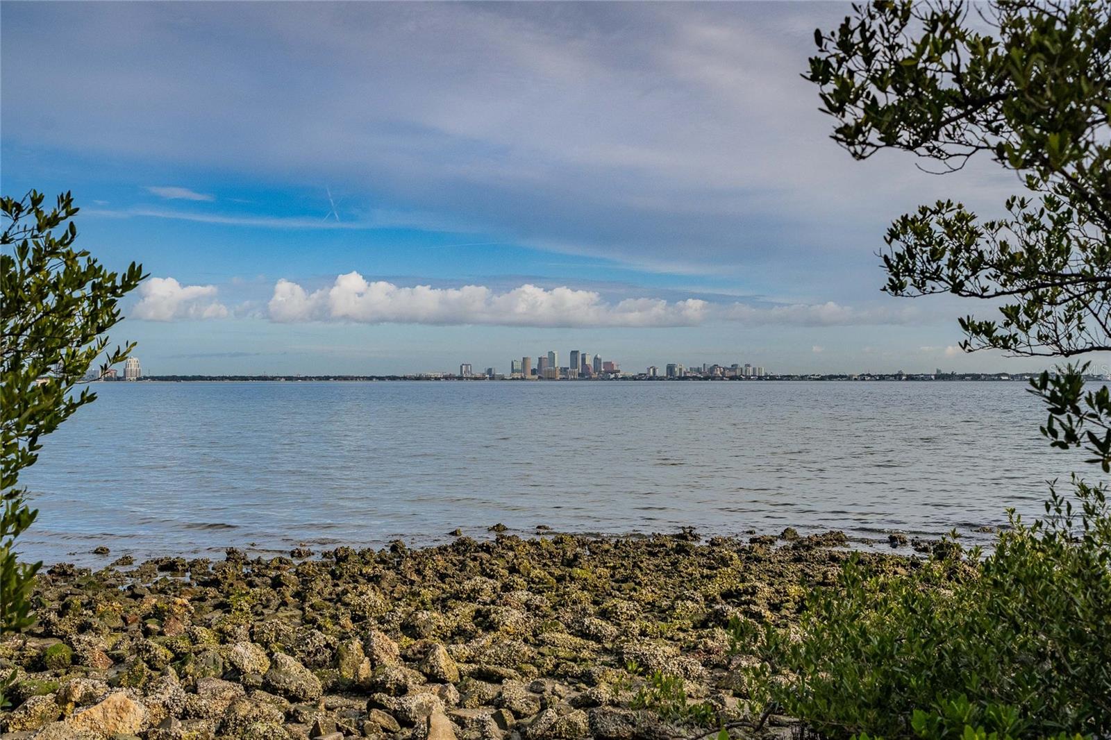 6213 SANDERS DR, TAMPA, FL — photo 8