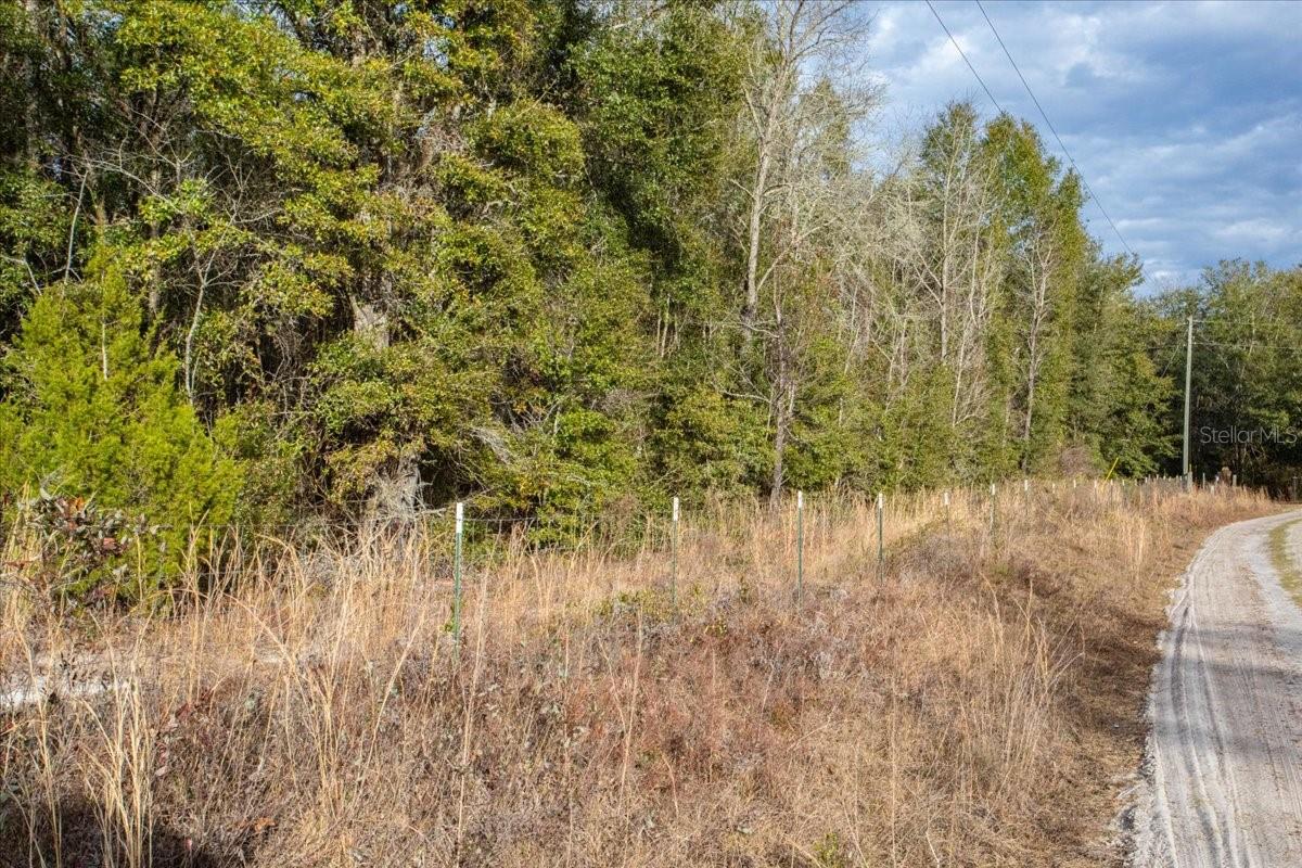 TBD SW MAPLEWOOD PL #LOT 5, FORT WHITE, FL — photo 5