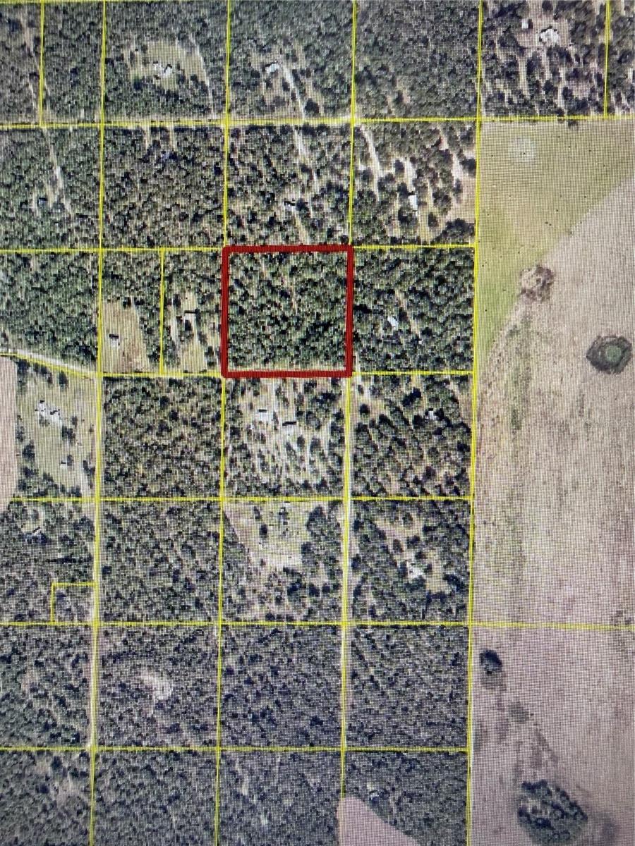 TBD SW MAPLEWOOD PL #LOT 5, FORT WHITE, FL — photo 14